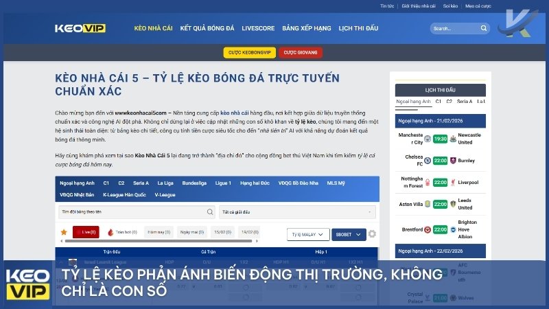Tỷ lệ kèo phản ánh biến động thị trường, không chỉ là con số.